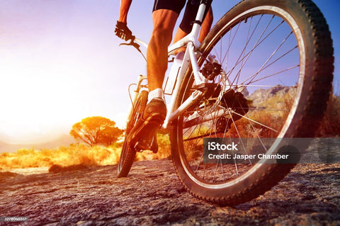 BICYCLE COLLECTION