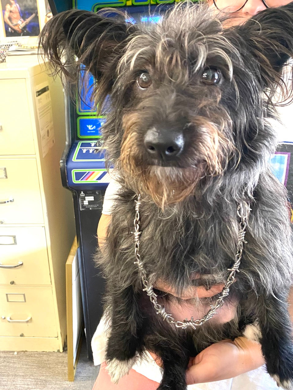 SK2037 Men's Necklace 26" 15 MM Wide Stainless Steel Barbed Wire Link Design