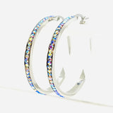 SK2346 Rainbow Crystal Earrings - Two Sizes Available Earrings