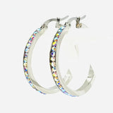 SK2346 Rainbow Crystal Earrings - Two Sizes Available Earrings